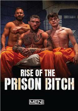 Rise Of The Prison Bitch - DVD Men.com