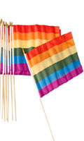 Cliquez pour voir la fiche produit- Grand Drapeau Rainbow Pride 45x30 cm