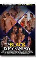 Cliquez pour voir la fiche produit- Black Is My Fantasy Triple Feature - Triple DVD Next Door