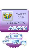 Click to see product infos- AGayN VIP subscription - 1 year